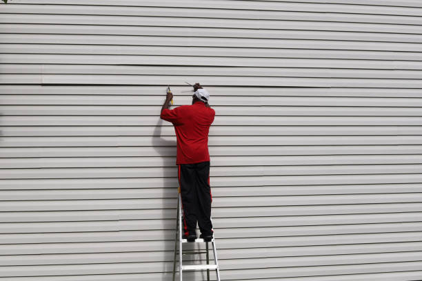 Best Historical Building Siding Restoration  in Ocilla, GA
